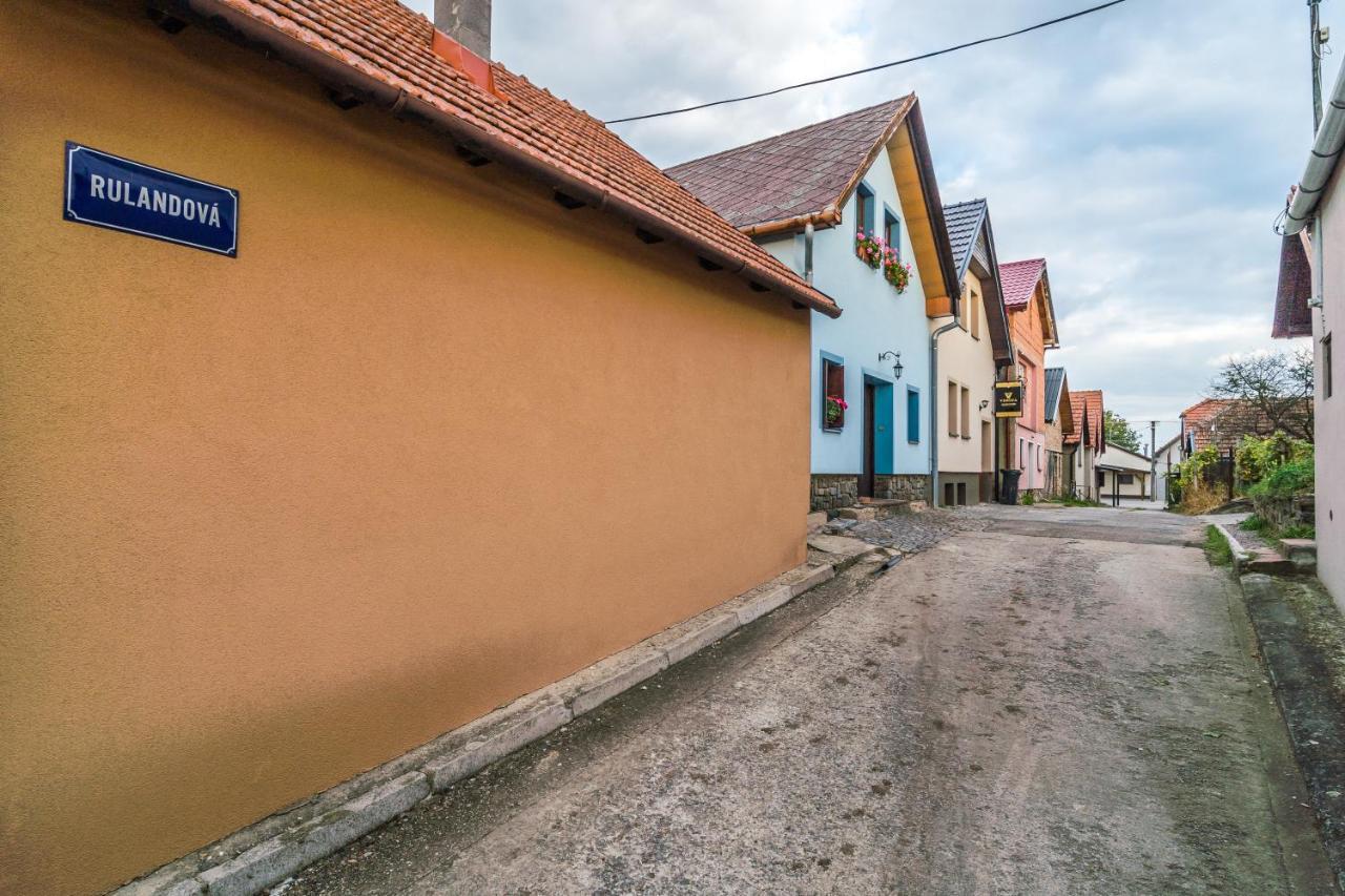 Vinoza - Ubytovani A Vinny Sklep Velke Bilovice Rulandova Bagian luar foto